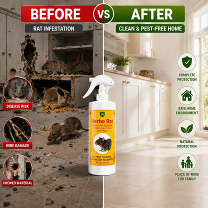 Herbo Kit All-in-One Pest Control Spray Combo | Rat, Lizard, Cockroach, Ant, Bed Bug & Mosquito Protection