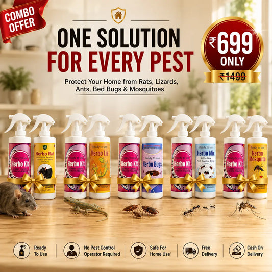 Herbo Kit All-in-One Pest Control Spray Combo | Rat, Lizard, Cockroach, Ant, Bed Bug & Mosquito Protection