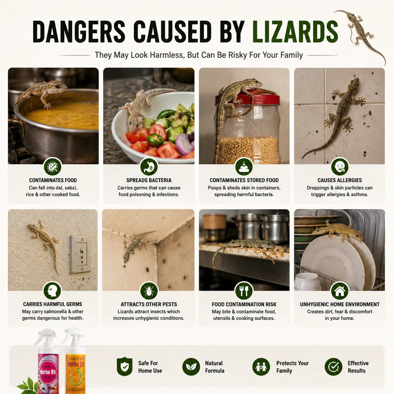 Herbo Kit All-in-One Pest Control Spray Combo | Rat, Lizard, Cockroach, Ant, Bed Bug & Mosquito Protection