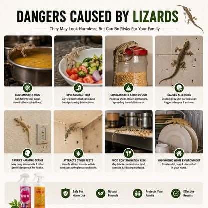 Herbo Kit All-in-One Pest Control Spray Combo | Rat, Lizard, Cockroach, Ant, Bed Bug & Mosquito Protection