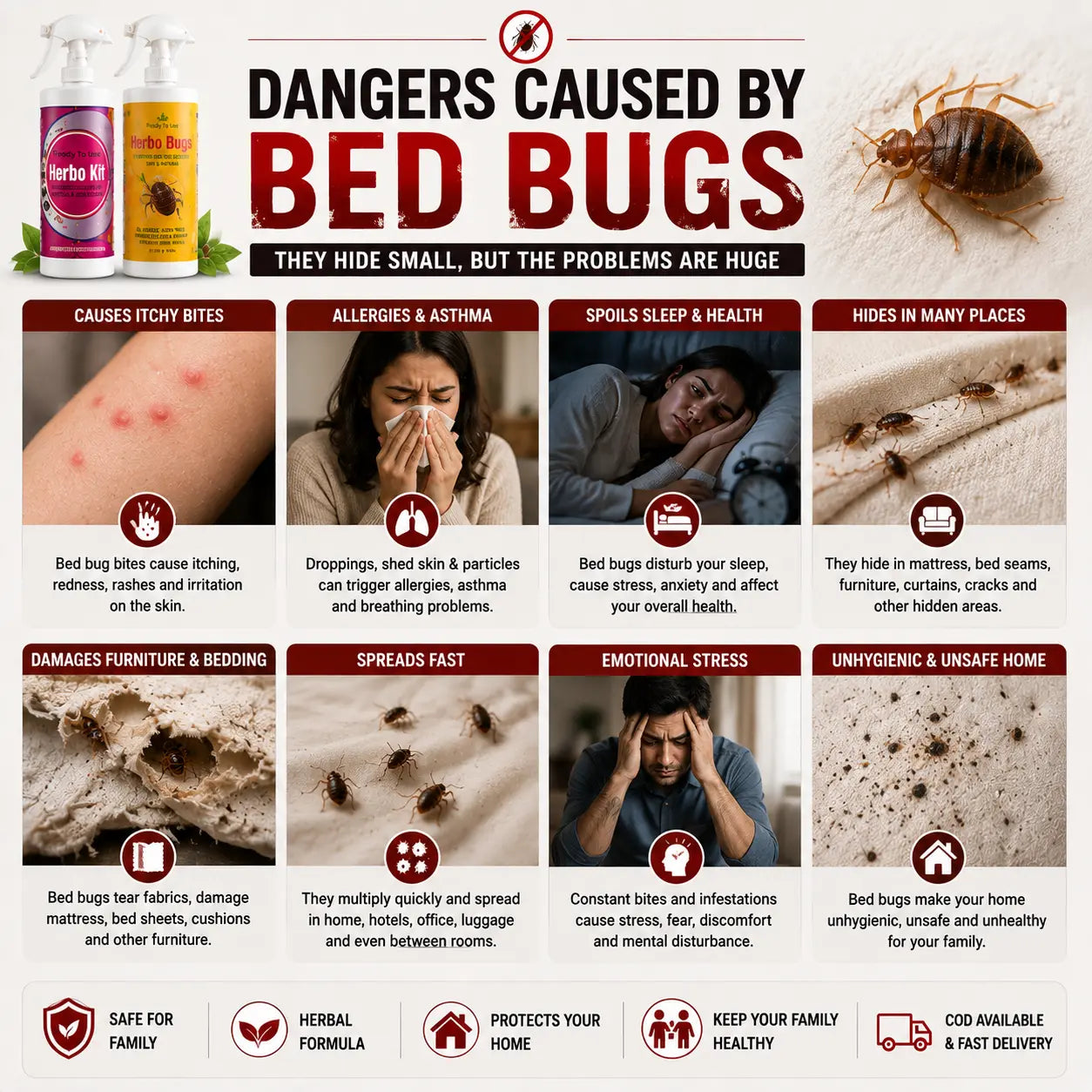 Herbo Kit All-in-One Pest Control Spray Combo | Rat, Lizard, Cockroach, Ant, Bed Bug & Mosquito Protection