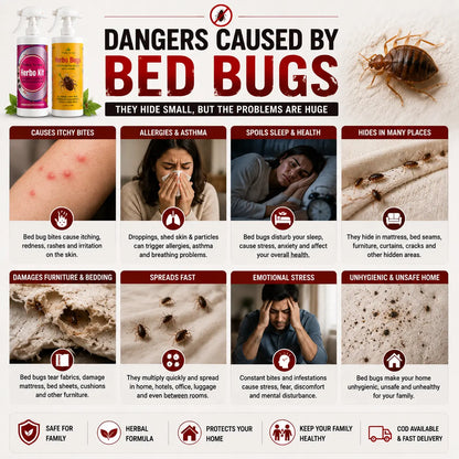 Herbo Kit All-in-One Pest Control Spray Combo | Rat, Lizard, Cockroach, Ant, Bed Bug & Mosquito Protection