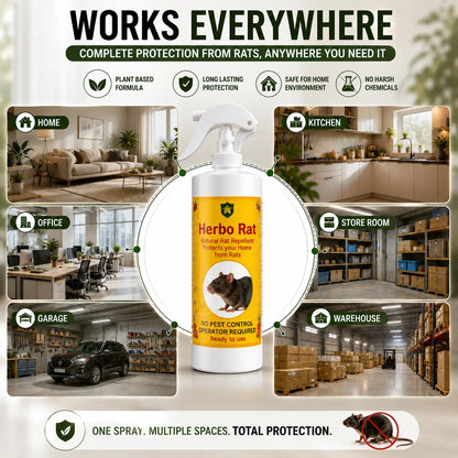 Herbo Kit All-in-One Pest Control Spray Combo | Rat, Lizard, Cockroach, Ant, Bed Bug & Mosquito Protection