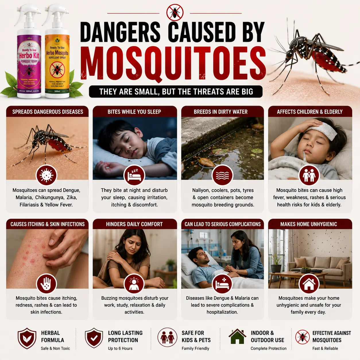 Herbo Kit All-in-One Pest Control Spray Combo | Rat, Lizard, Cockroach, Ant, Bed Bug & Mosquito Protection