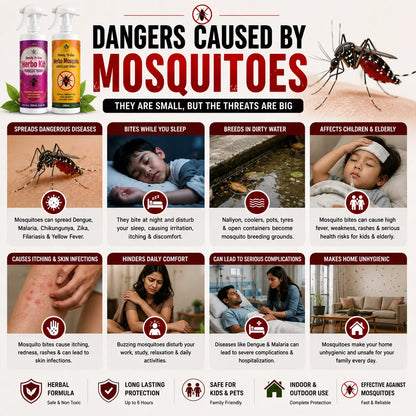 Herbo Kit All-in-One Pest Control Spray Combo | Rat, Lizard, Cockroach, Ant, Bed Bug & Mosquito Protection